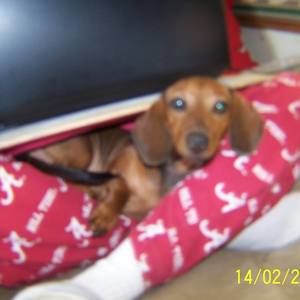 Meet your Posher, Diane